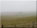 SU4184 : Mist on the Gallops by Bill Nicholls