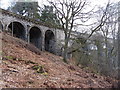 NY6758 : South-west end of Lambley Viaduct by Andrew Curtis