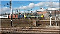 TL9826 : Freight train waiting at Colchester by David Martin