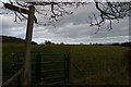 SJ2639 : Offa's Dyke Path leaves the lane, north of Tyn-y-Groes by Christopher Hilton