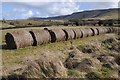 SO1833 : Hay bales in a field below the Black Mountains by Philip Halling