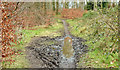 J4677 : Muddy path, Clandeboye, Bangor (March 2015) by Albert Bridge