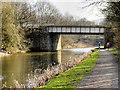 SD8132 : Leeds and Liverpool Canal Bridge#124C by David Dixon