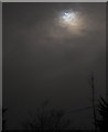 SX9065 : Partial eclipse over Torquay by Derek Harper