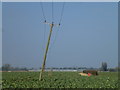 TF3136 : Poles in a Lincolnshire field south of Kirton by Richard Humphrey