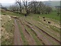 SK1484 : Descending from Hollins Cross to Castleton by Steve  Fareham