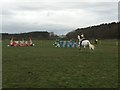 SJ9625 : Stafford Horse Trials: showjumping arena by Jonathan Hutchins