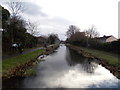 ST2994 : Disused canal south of Henllys Way, Cwmbran by Jaggery