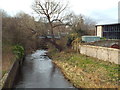 NT2575 : Water of Leith, Tanfield, Edinburgh by Malc McDonald