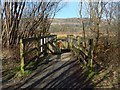 NS4672 : Footbridge in the Saltings by Lairich Rig