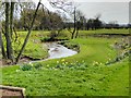 SJ8981 : River Dean, Avro Golf Course by David Dixon