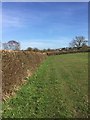 SJ8050 : Audley: footpath along field edge by Jonathan Hutchins