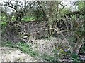 SK4519 : Ruined farm building in the bed of the Charnwood Forest Canal by Ian Calderwood