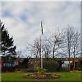 SJ9295 : Daffodils below the flagpole by Gerald England