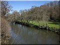 SX3680 : River Tamar at Greystone Bridge by Derek Harper