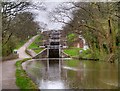 SE1039 : Bingley Five-Rise Locks by David Dixon