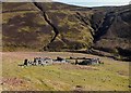 NS8509 : Mennock Pass Sheepfold by Mary and Angus Hogg