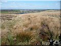 SE0532 : Open access land with issues, above Stubden Reservoir by Christine Johnstone