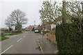 ST5535 : Ham Street, Baltonsborough by Richard Webb