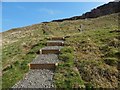 NS4376 : Lang Craigs Woodland: ascending path with steps by Lairich Rig