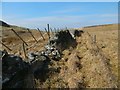 NS4477 : Dry-stone dyke and deer fence by Lairich Rig