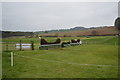 SJ5567 : Kelsall Hill Horse Trials: cross-country fence 12 by Jonathan Hutchins