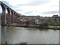 NZ8909 : Riverside Walk, on the south bank of the Esk by Christine Johnstone