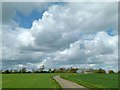 SK6821 : Unfenced road from Grimston to Shoby by Alan Murray-Rust