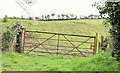 J4947 : Field gate, Downpatrick  - May 2015(2) by Albert Bridge