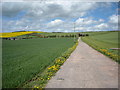 SU1873 : Barn on track to New Barn Farm and Upper Poughcombe by Vieve Forward