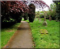 SO5624 : Churchyard path, Peterstow by Jaggery