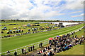 SJ4065 : May Festival at Chester Racecourse by Jeff Buck