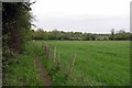 TL5900 : Footpath & Improved Grassland by Glyn Baker