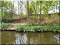 SJ9494 : Site of St George's Rowing Club by Gerald England