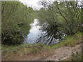 NJ2867 : Pond among the Dunes by Anne Burgess