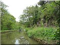 ST7860 : Rock cutting between bridges 174 and 175 by Christine Johnstone