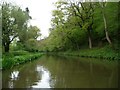 ST7861 : Kennet & Avon Canal, below Conkwell Wood by Christine Johnstone