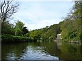 ST6272 : River Avon at Birch Wood by Christine Johnstone