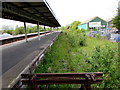 SN1916 : Weeds cover a long disused line of the north side of Whitland railway station by Jaggery