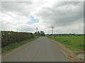  : Icknield Way between Lackford and Cavenham by Adrian S Pye