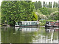 TQ0588 : Narrowboat Branta canadensis in Harefield Marina by David Hawgood