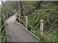 SS7883 : Wales Coast Path boardwalk by the River Kenfig/Afon Cynffig by eswales