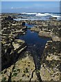 HY4553 : Rock Pool, Bow Head, Westray, Orkney by Claire Pegrum