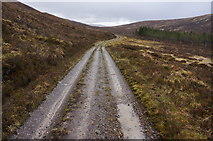  : Hill track by jeff collins