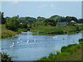 TF1707 : Canoeists on the Welland by Bob Harvey