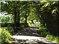 TQ6099 : Sunlight and shadows, Hay Green Lane near Wyatt's Green by Malc McDonald