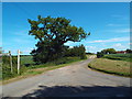 TL5100 : Driveway to Knightlands Farm, near Stanford Rivers by Malc McDonald