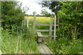 SE6113 : Stile and hedge near Hawkhouse Green by Graham Hogg