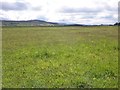 NH7444 : The battlefield, Culloden by Roger Cornfoot