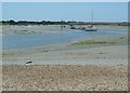 SZ7799 : Snowhill creek from East Head by Rob Farrow